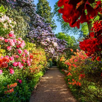 Leonardslee_Gardens-2.jpg