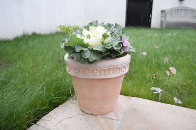 GREENFINGERS CHARITY POT.jpg