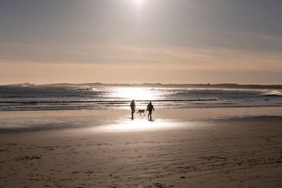 Beadnell Bay_Coastal (28).jpg
