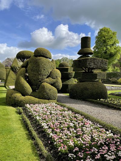 Topiary in the world's oldest topiary garden at Levens Hall and Gardens, Cumbria