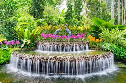 Singapore Botanical Garden SS_324553835.jpg