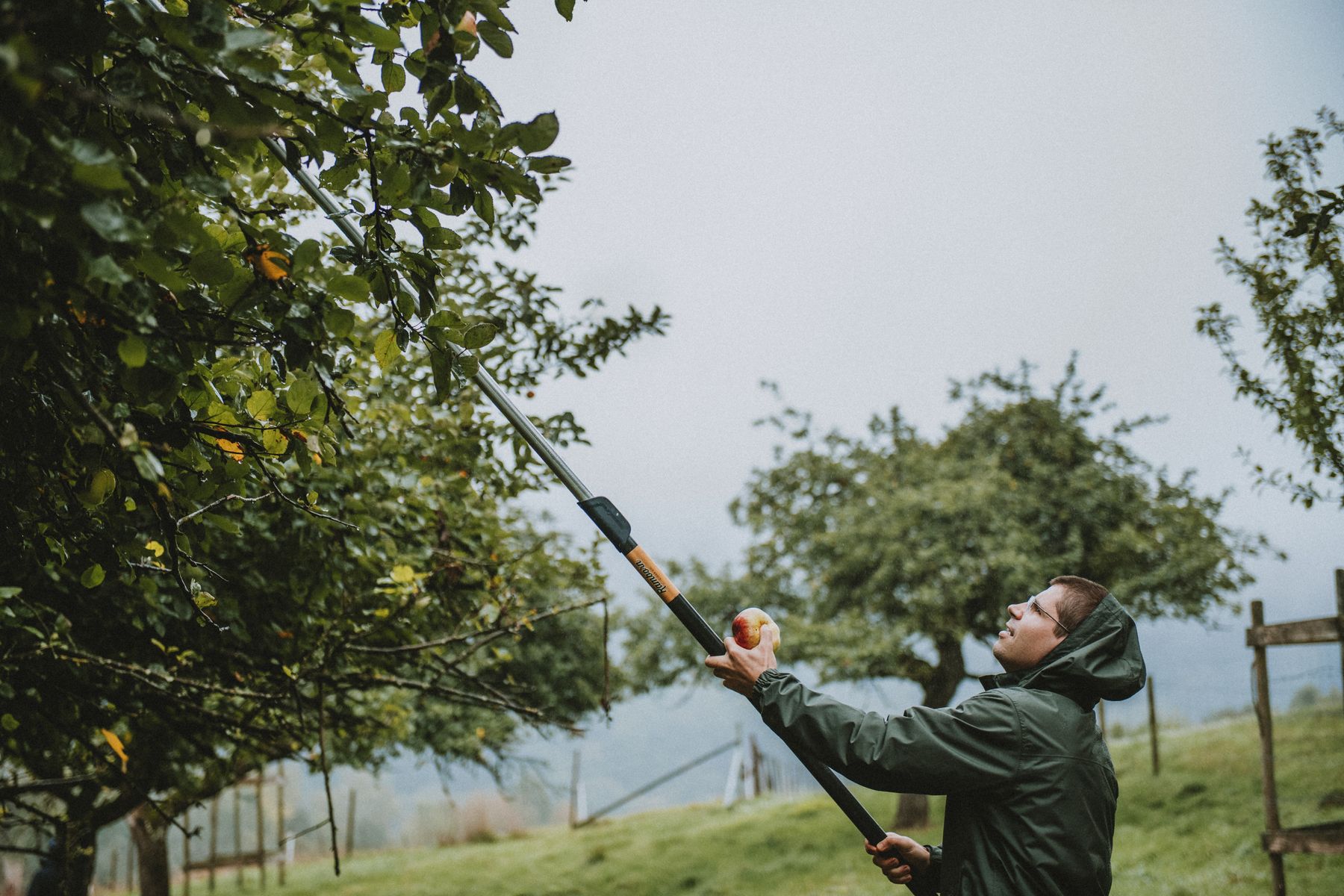 Ramborn_2019Harvest_36©LFT_VéroniqueKolber.jpg