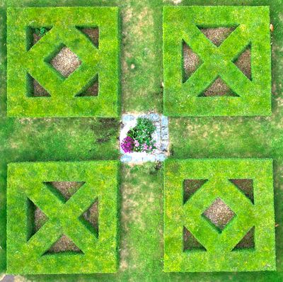 Paul Everden - First Place in UK Home Gardener Category