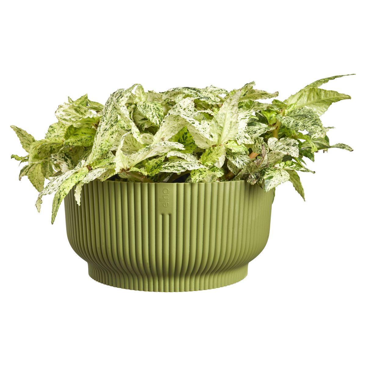 Vibes bowl