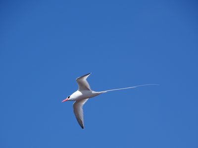 DSC02776.jpg