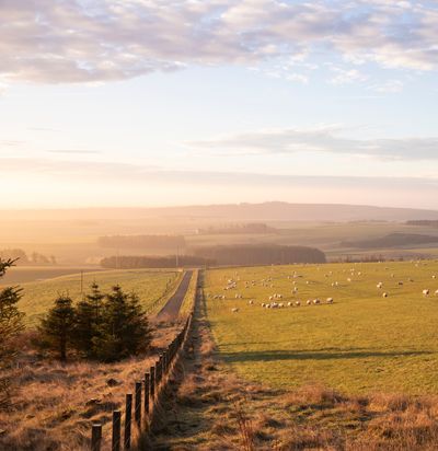 Scottish Borders_Landscapes (13).jpg