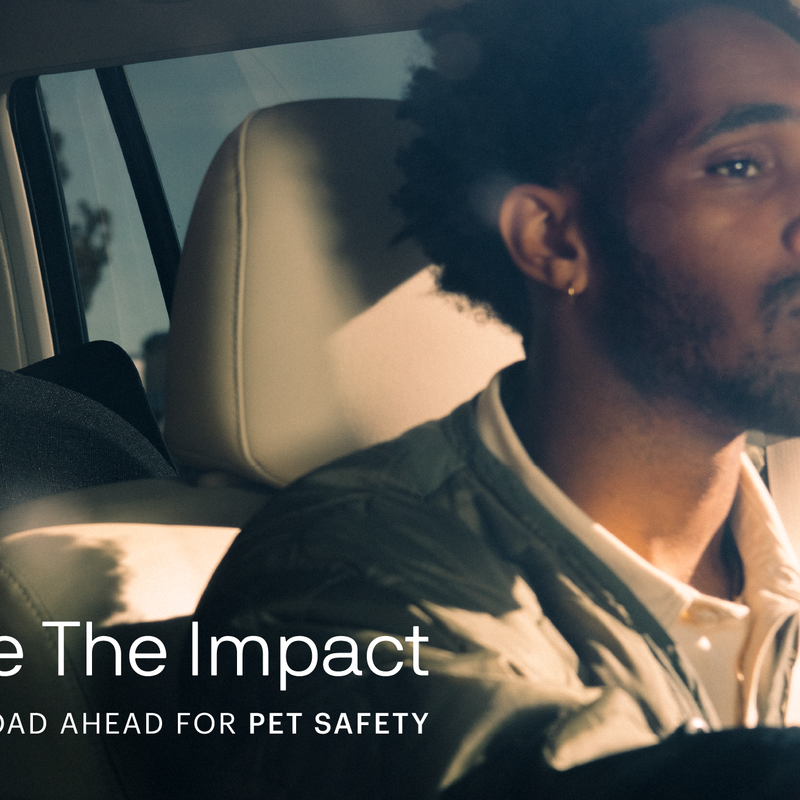 Tavo launches 'Imagine the Impact' campaign at Crufts 