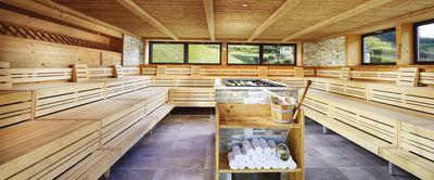 Preidlhof_Panoramic show sauna.jpg