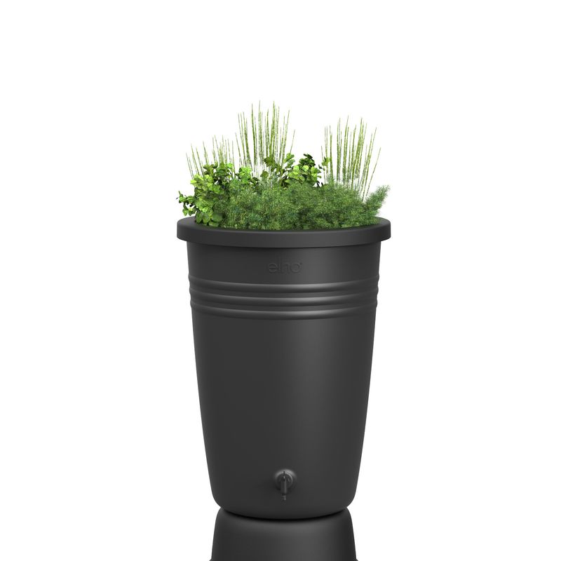 green basics rainbarrel plus 200ltr living black