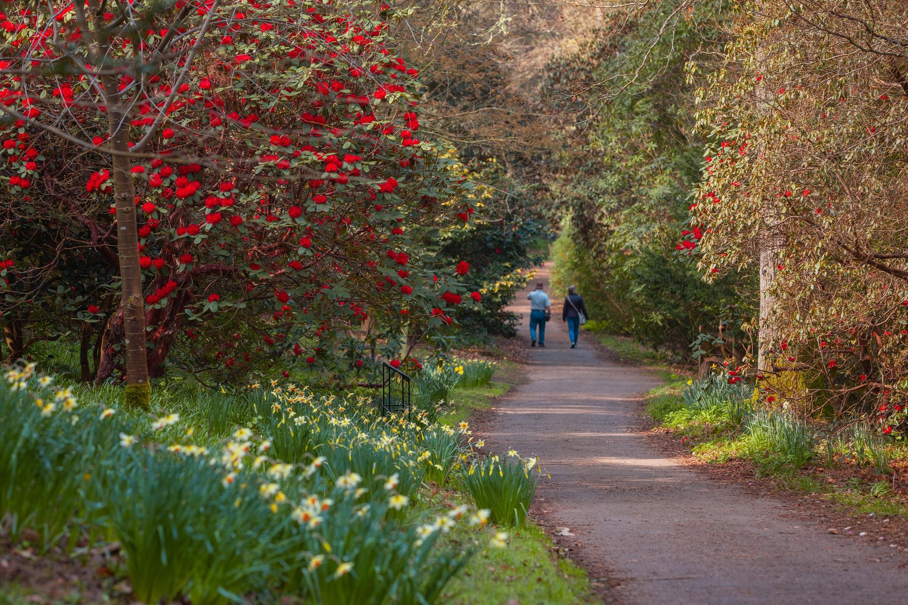 Westwood Valley at Wakehurst 
