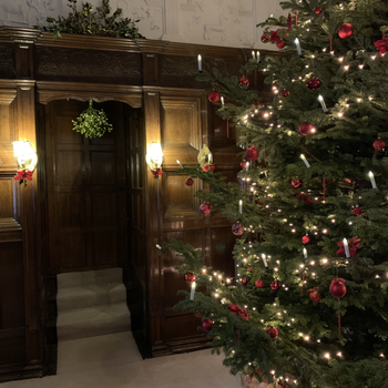 Levens Hall Christmas tree - a backdrop for musical performance at the 2023 Christmas event.