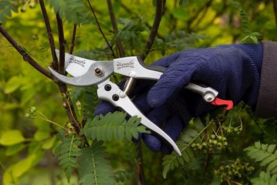 Bypass pruners.jpg