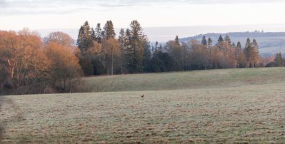 Scottish Borders Lanscapes_Images (21).jpg