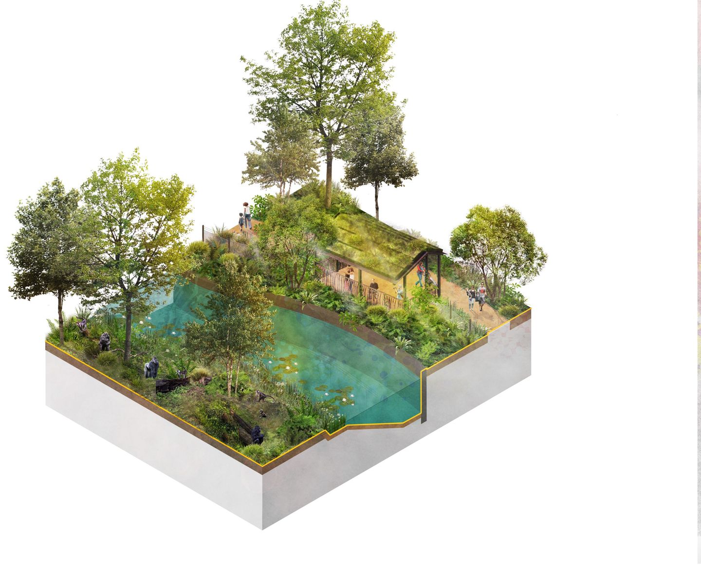 GA Gorilla Viewing Shelter - web.jpg