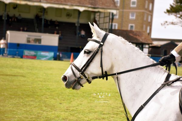 Jumping Arena