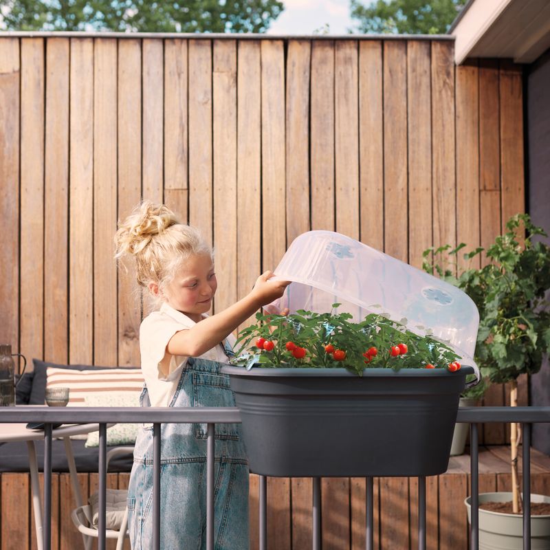 green basics balcony grow set 55cm living black
