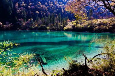 Jiuzhaigou (5).jpg