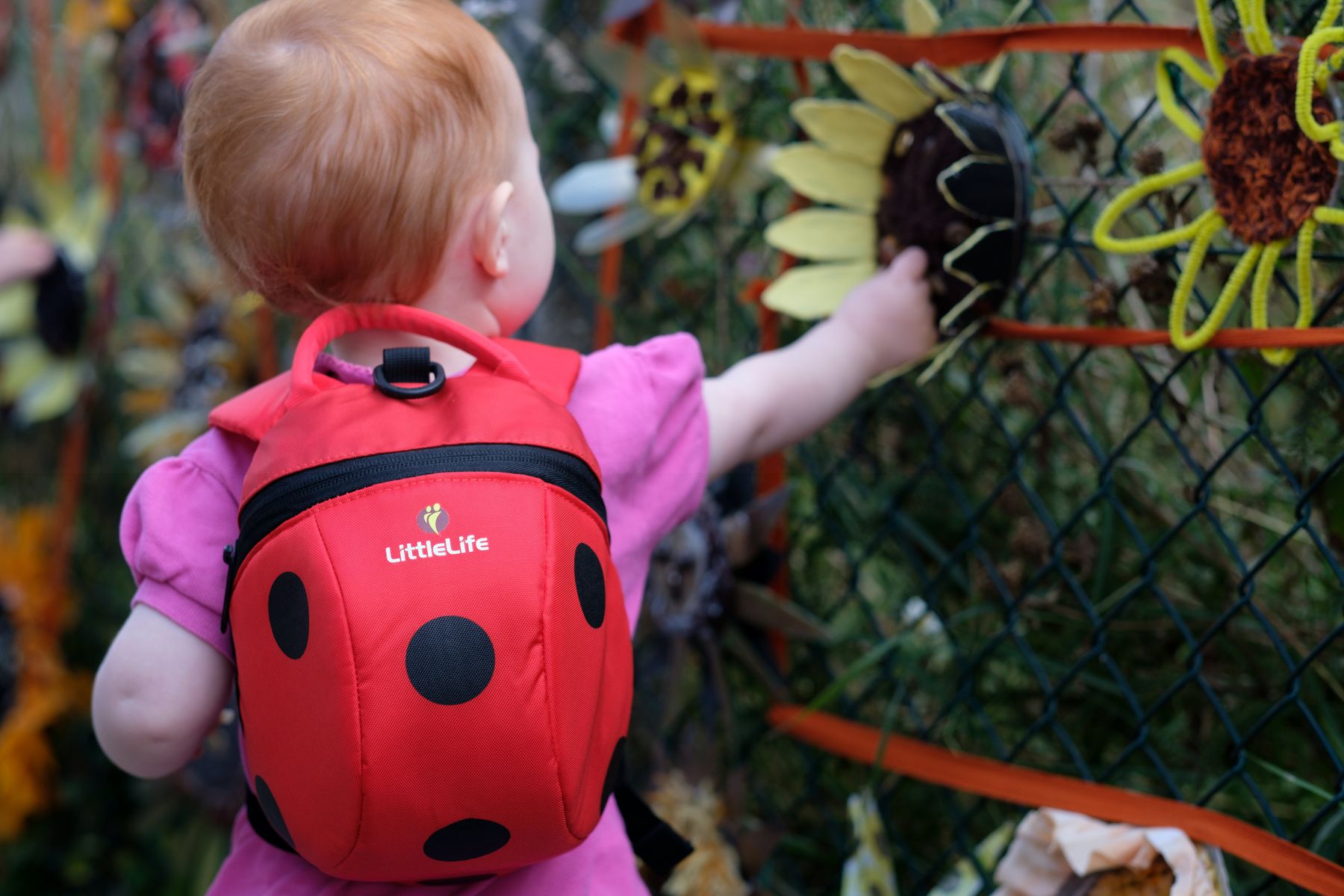 LittleLife Ladybird Toddler Backpack with detachable rein 