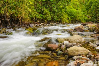 BajosdelTorodreamstimem39880483.jpg