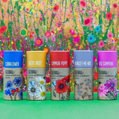 Set of 5 Wildflower Tubes