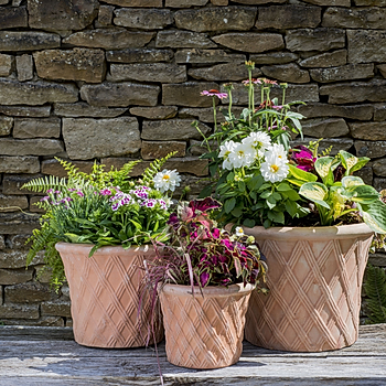 Woodlodge pots.jpg