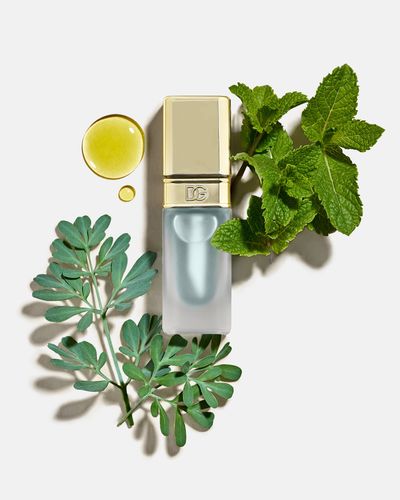 Mint Oil Lip Plumper