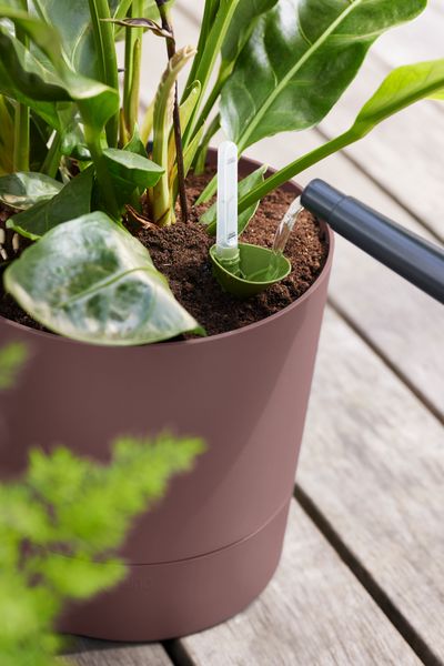 greensense aqua care round