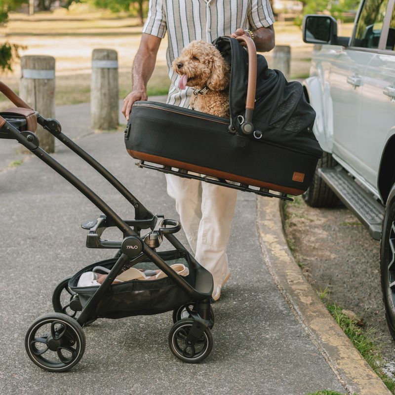 Tavo Roscoe Stroller paired with Maeve Car Seat 