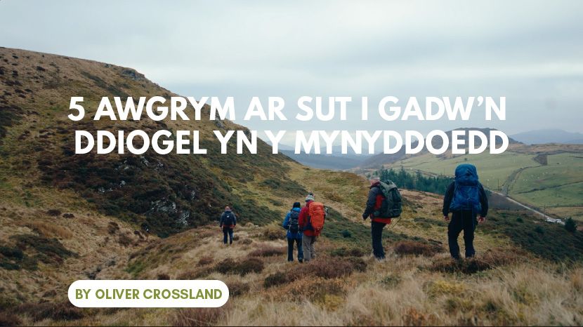 SSSART thumbnail Welsh version.jpg