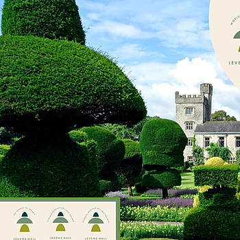 Levens Hall topiary garden and the logos in different languages produced for World Topiary Day 2023