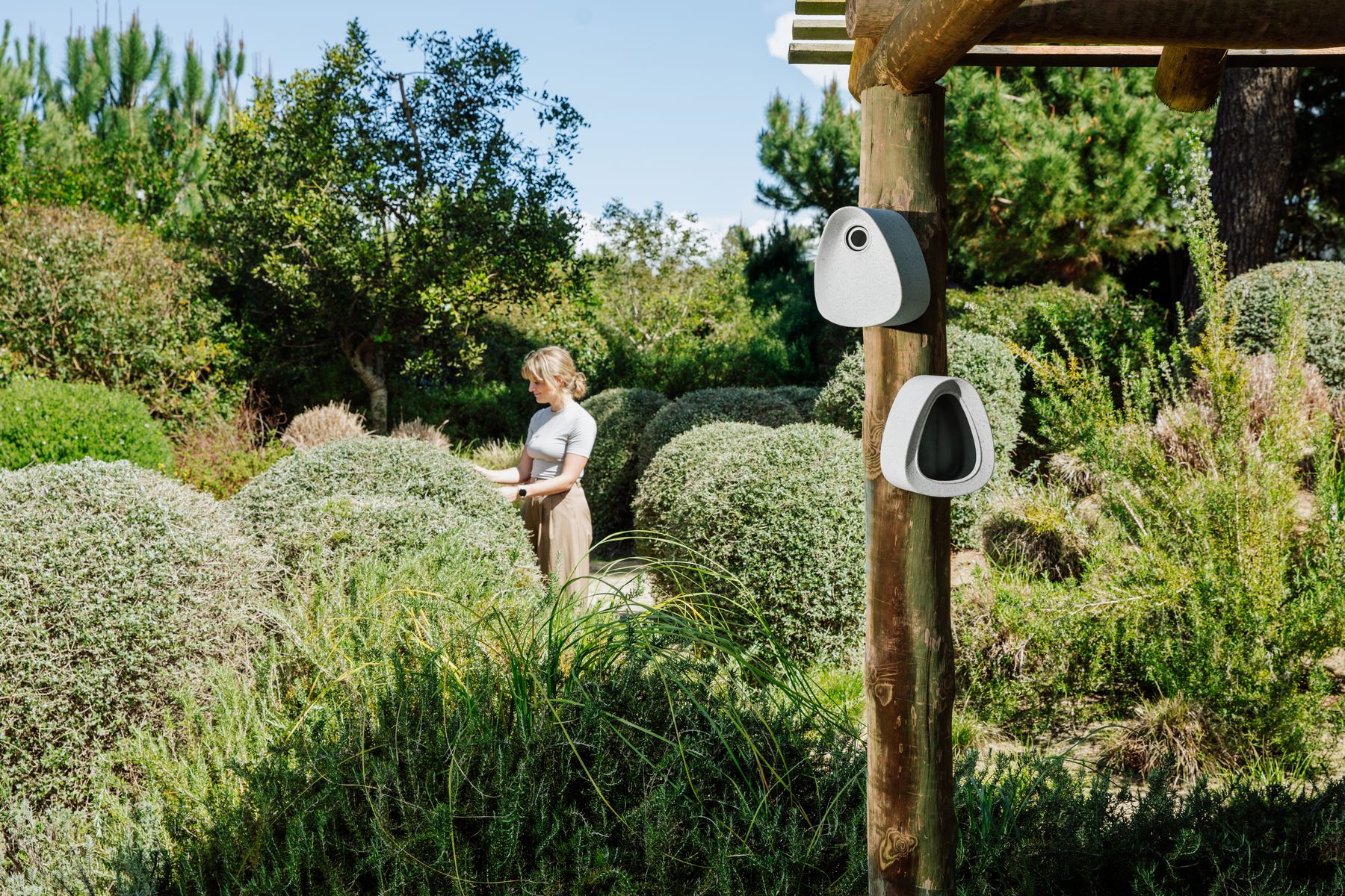 B's Essential Bird Feeder and Box