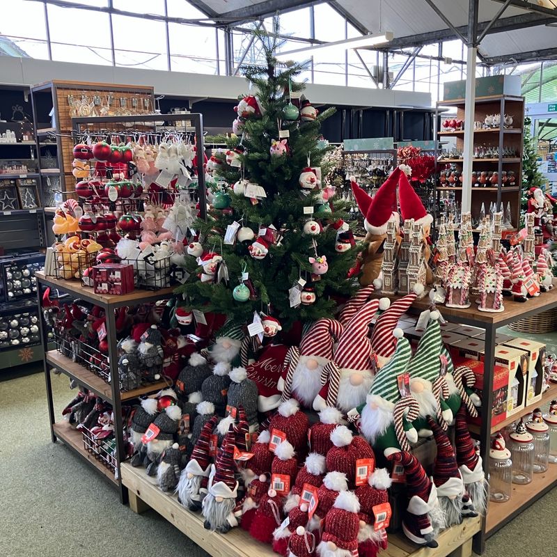 Hillier Garden Centres and Nurseries - Christmas 2024