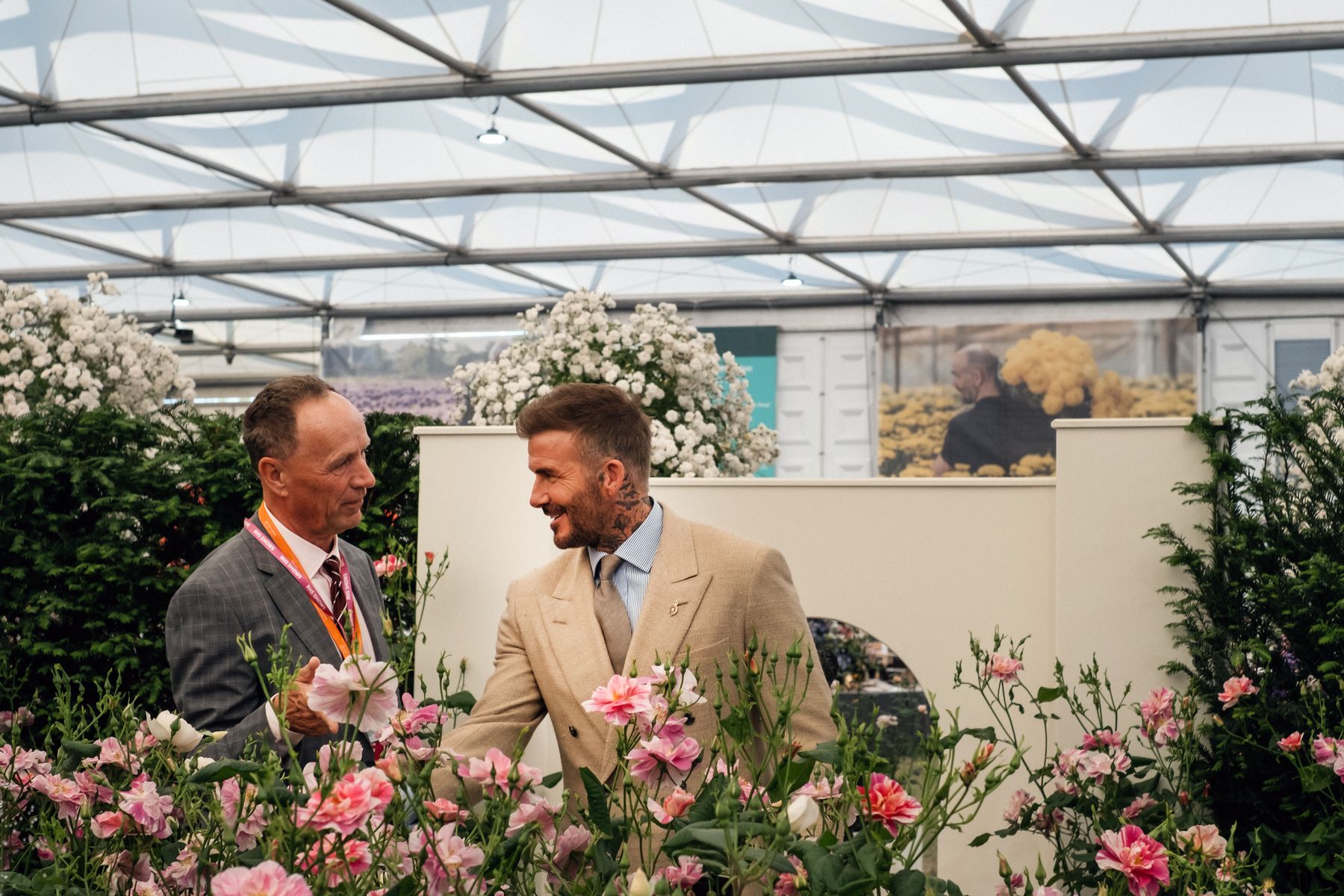 David Austin Roses receive 29th Gold for ‘The King’s Rose’ Showcase at RHS Chelsea Flower Show 2025