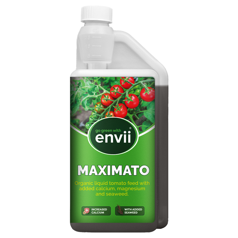 Envii Maximato