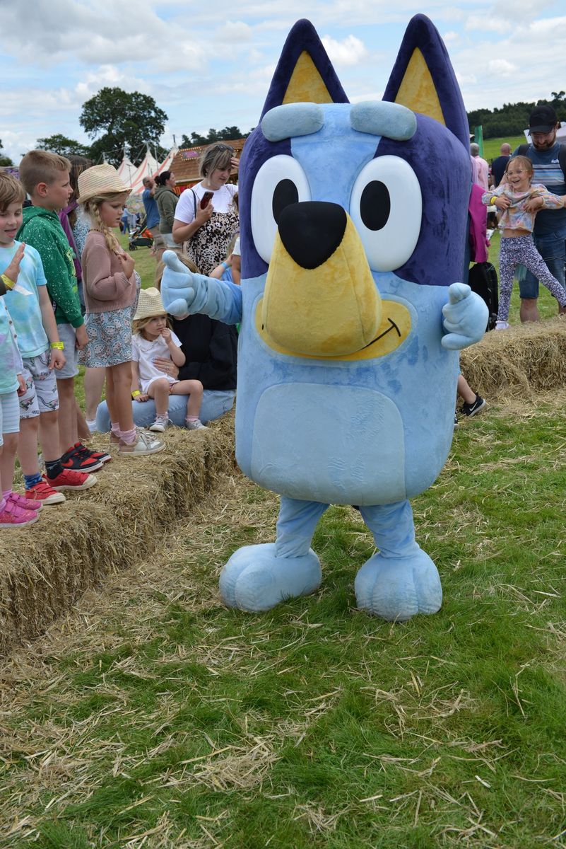 Bluey (1).jpg