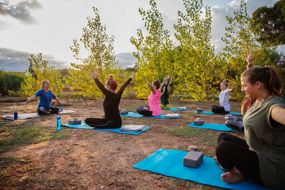 Wellness-Essary is a holistic wellness app and events platform