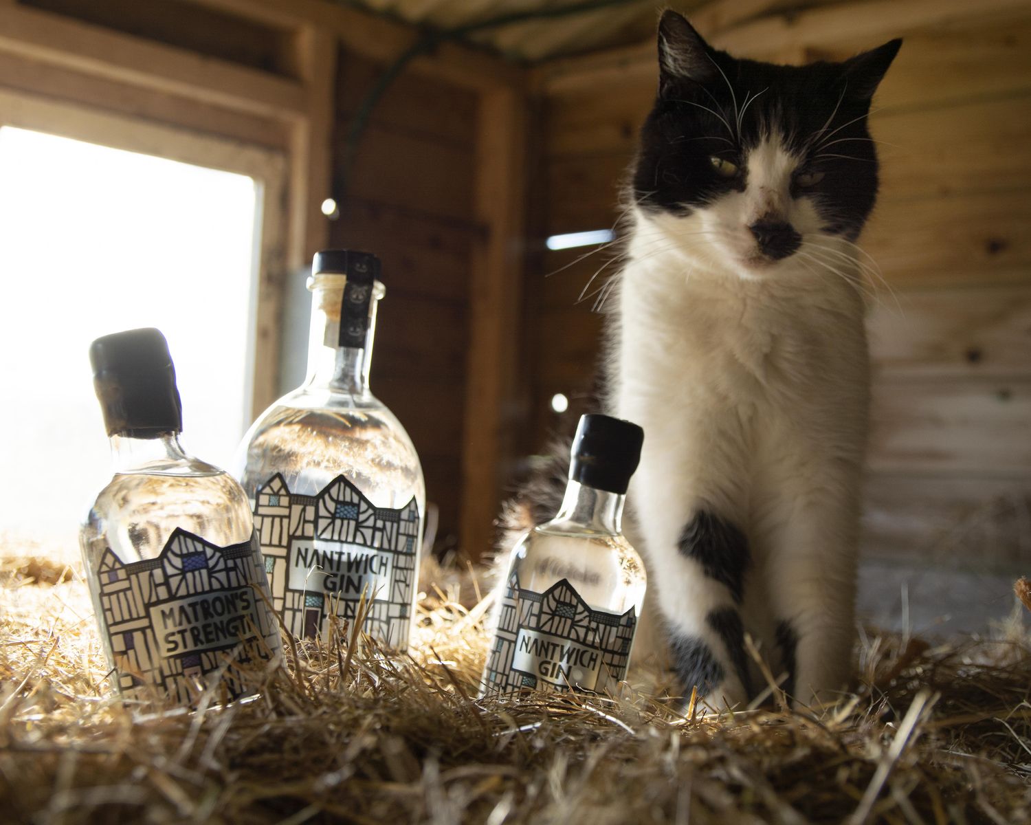 Nantwich Gin Family