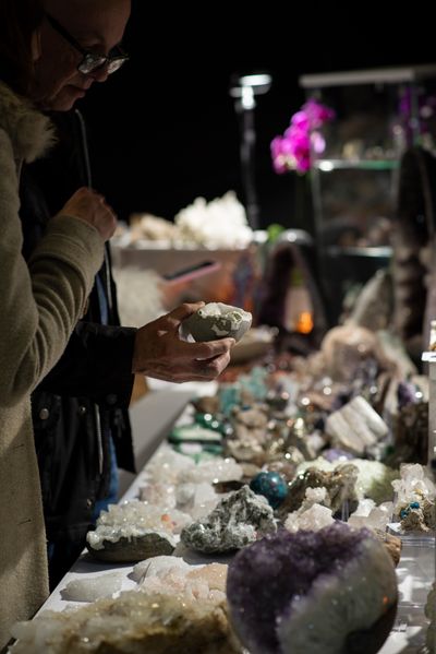 London Gem and Mineral Show 2024_626.JPG