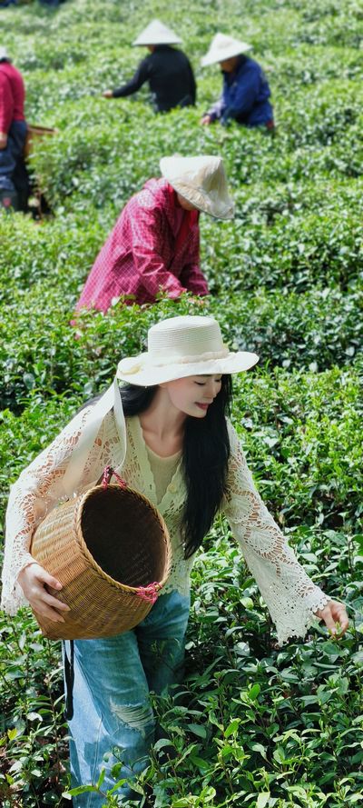 Tea Plantations (5).jpg