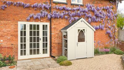 Suggested Header The Chelsea Shed (1).jpg