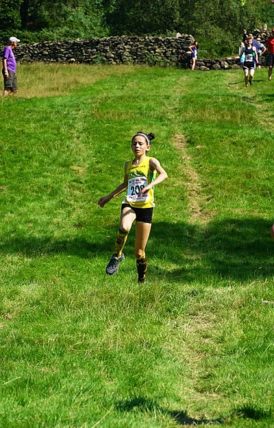 A fell runner tackles the course at Grasmere Sports and Lakeland Show, Grasmere