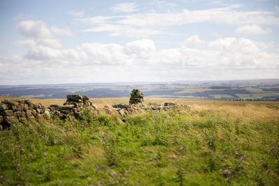 Hadrian's Wall_Landscapes (6).jpg