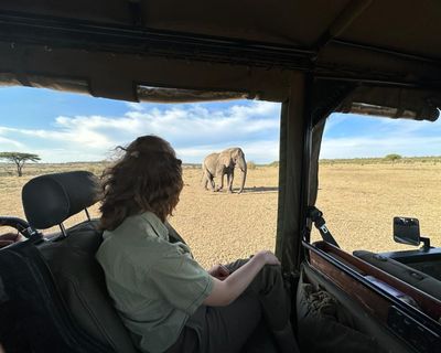 Kenya safari elephant UGC