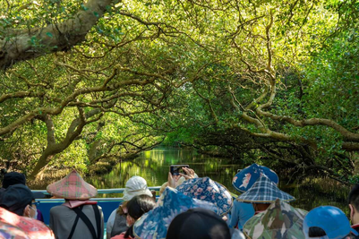 Sìcǎo Green Tunnel (5).png