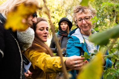 Image 1 UK citizen scientists make important contribution to biodiversity data.jpg
