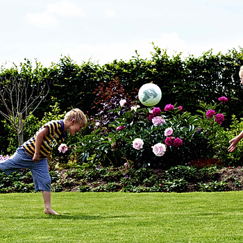 Johnsons Lawn 1.jpg