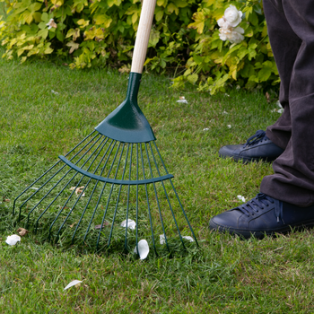 Wilkinson Sword Carbon Steel Lawn Rake