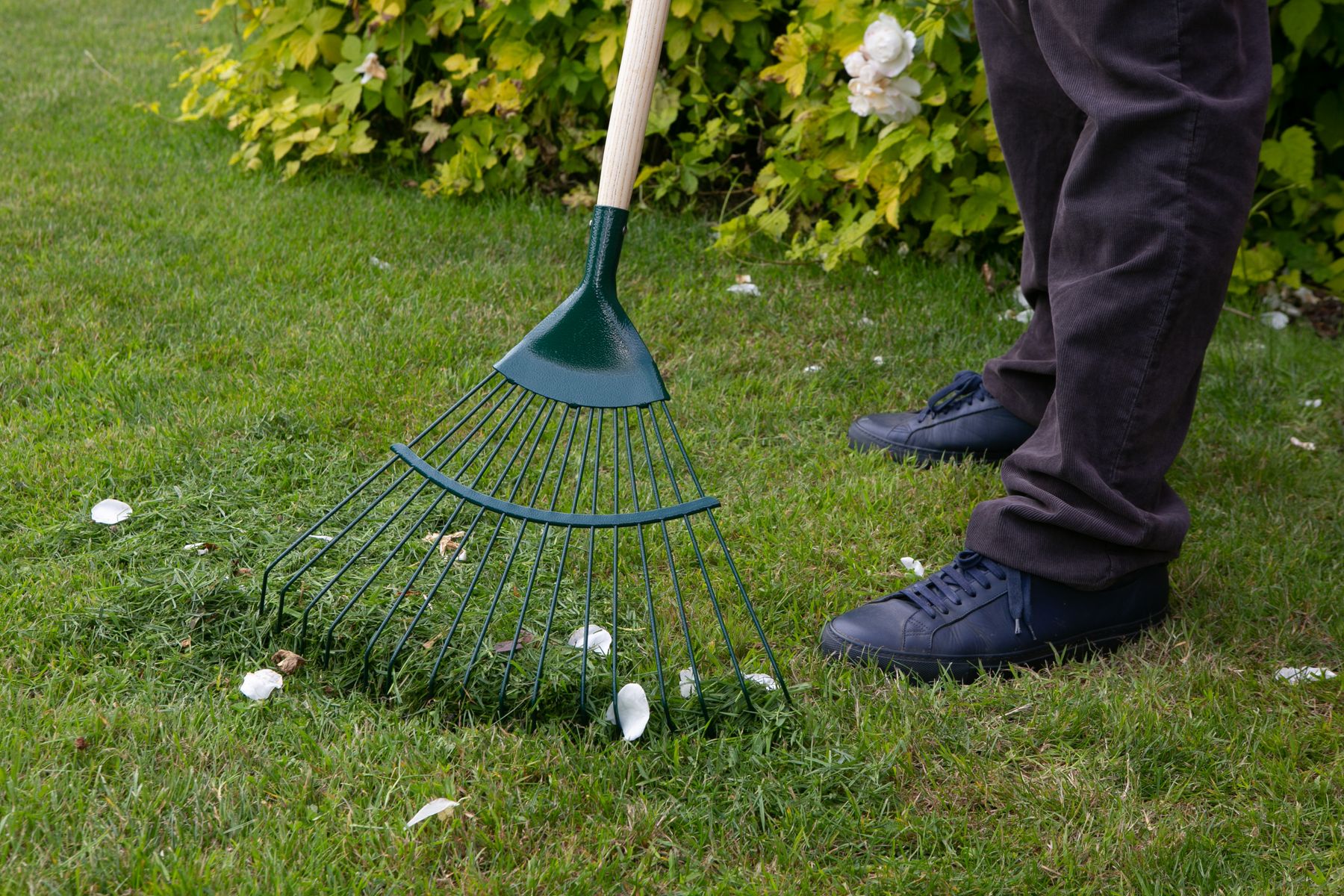 Carbon Steel Lawn Rake
