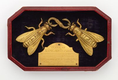 The clasp of bees taken from Napoleon's cloak after the Battle of Waterloo.