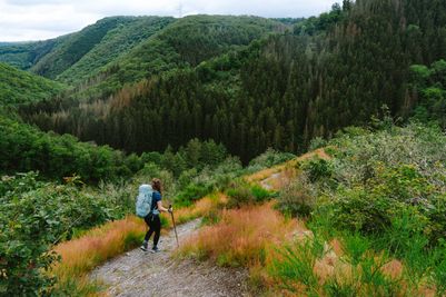 Lee-Trail-Day-1-JDJ62-Molberlee-©Jochem-de-Jong.jpg